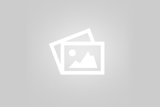 فرآورده های چوبی  شامل چه چیزهایی می شوند؟